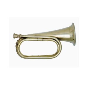 BUGLES - Image 4
